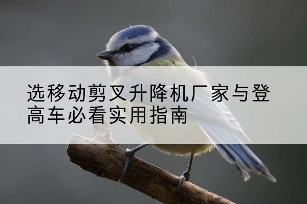 平城电动升降机厂家-选移动剪叉升降机厂家与登高车必看实用指南