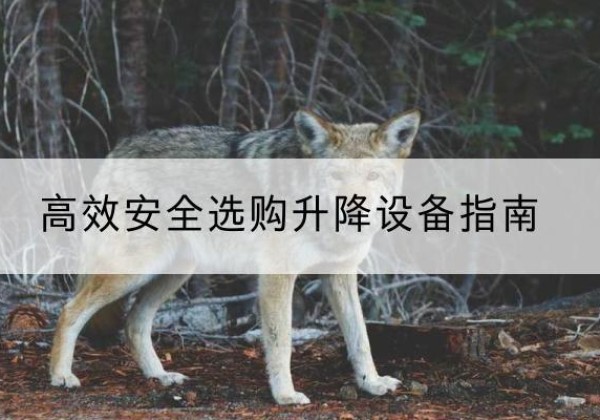 平城升降货梯厂家推荐-*安全选购升降设备指南